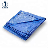 Bâche robuste en PEHD 9 et 12 pieds, bleue, imperméable, occultante, pour camion, style uni, pour tente