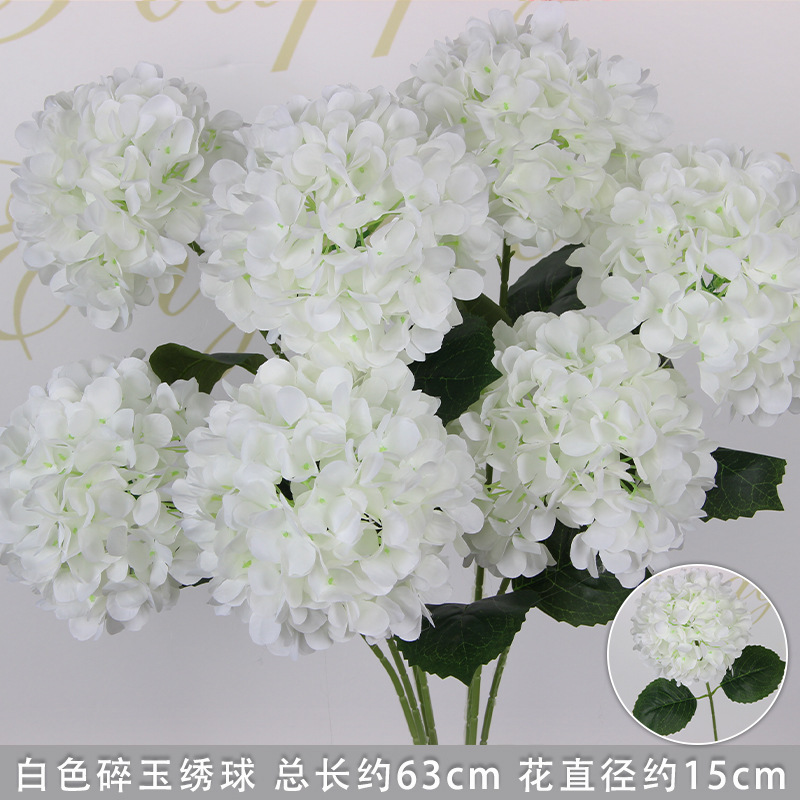 Hortensia blanc avec feuilles