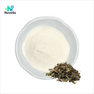 タンポポエキスプロテインペプチドパウダー純正天然品質サプリメント根 - Product Image 2