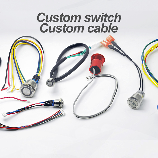 Professional Customized Push Button Switch Manufacturer Metal Backlight Push Button Switches