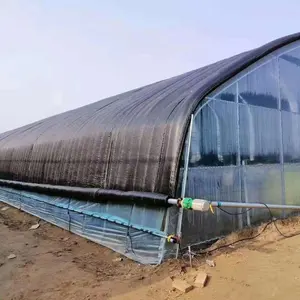 HM Baoding Hangmei Green House with Light Deprivation Single-span Agricultural Greenhouse Manufacturer for Medical Plants