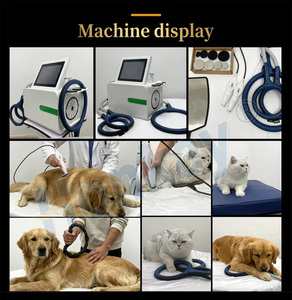 Dispositivo Portátil de Terapia PEMF y <span class=keywords><strong>Tecar</strong></span> 2 en 1 para Alivio del Dolor, con Certificación CET y SmartTecar, para Uso Veterinario en Perros y Gatos, con Capacitación Gratuita - Product Image 5