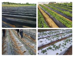 Noir blanc Panda Film serre lumière bloquant la fraîcheur Protection rouleau en plastique couverture de produit laitier - Product Image 6