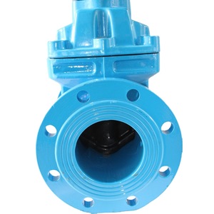 Válvula de Compuerta Longyao Shuangyong DN100 PN16 con Revestimiento de Goma para Control de Flujo de Agua - Product Image 4