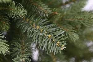 Arbre de Noël artificiel en PVC vert personnalisé à bas prix, décoration d'arbre de Noël artificiel de luxe - Product Image 3