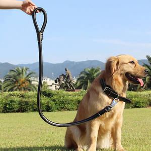 Grosir set tali anjing kekang kalung hewan peliharaan kerah kulit mewah besar medium - Product Image 5