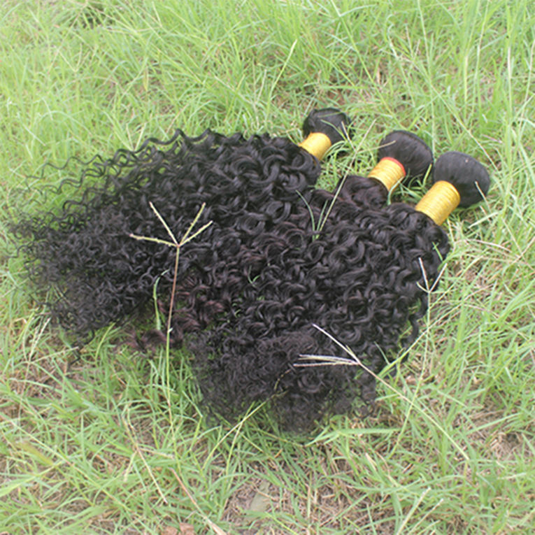 Conchyliculture Noir bouclés