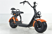 EEC COC a approuvé la batterie de vélo électrique de scooter de 1500w Scooters électriques de Citycoco 3000W pour des adultes