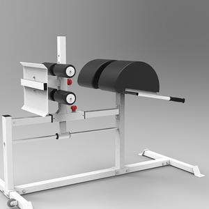 공장 직접 상업용 실내 피트니스 훈련 신체 건물 로마 의자 체육관 장비 - Product Image 4