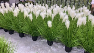 Bonsái de hierba de cebolla artificial de 150cm para decoración de hogar, hotel u oficina para paisajismo y jardinería - Product Image 3