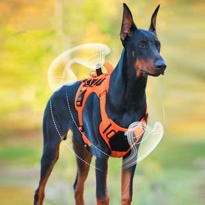 <span class=keywords><strong>Harness</strong></span> Anjing Multifungsi PU Grosir Ukuran <span class=keywords><strong>XL</strong></span> Anti-Lepas, Tahan Benturan, Reflektif, Warna Solid Populer - Product Image 3