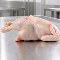 Fournisseur en gros de poulets entiers pour la restauration, les restaurants, les cuisines commerciales et la distribution en vrac