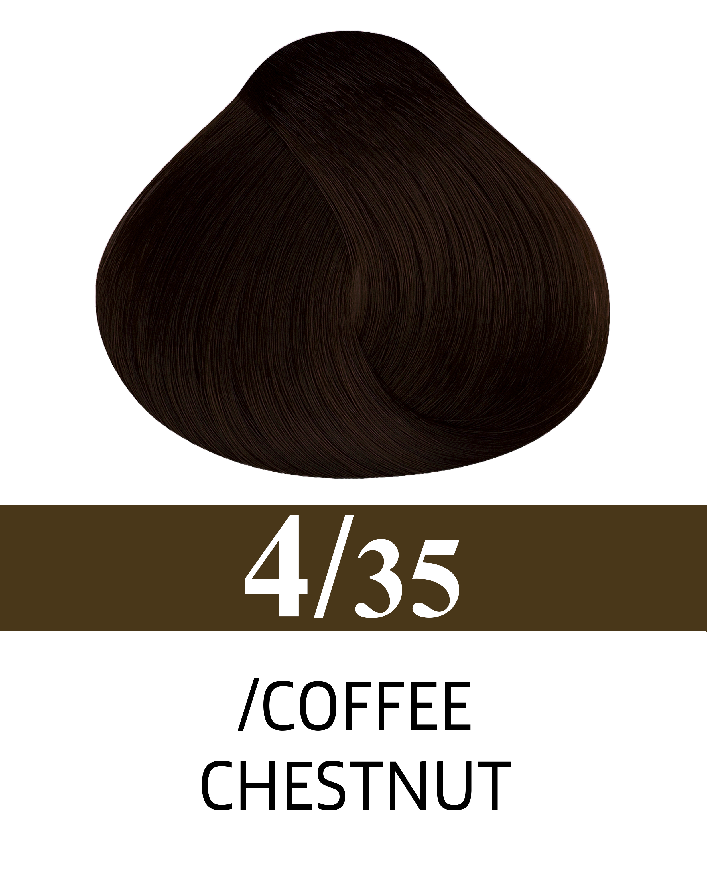 4/35 Café Châtaigne