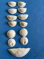 Machine à fabriquer des raviolis entièrement automatique et multifonctionnelle, machine à former des empanadas, samosas, rouleaux de printemps, raviolis