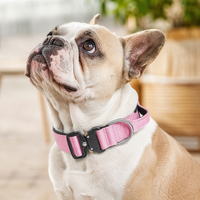 Collier tactique pour chien, résistant à l'usure, multicolores, réglable, pour l'entraînement en extérieur, pour chiens de taille moyenne/grande.