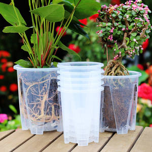 JQ Phalaenopsis หม้อควบคุมรากกล้วยไม้, เทียนดอกอโลเซีย, กระถางดอกไม้โปร่งใสแบบกลวงแครนเบอร์รี่กำมะหยี่ - Product Image 1