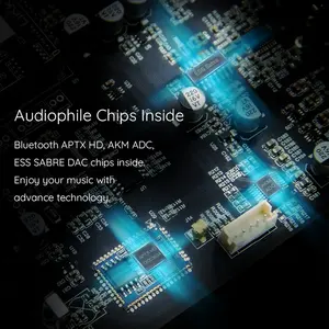 In Stock Arylic S50pro + ricevitore <span class=keywords><strong>Audio</strong></span> Streamer Multiroom Stereo ricevitore <span class=keywords><strong>Audio</strong></span> preamplificatore per Smart Home - Product Image 6