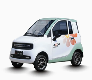 Coche eléctrico BRT MINI con certificación EEC/COC/L6e-BP, 45 km/h, Mini EV con 2 puertas y 2 asientos para uso legal en carreteras europeas. - Product Image 6