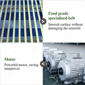 Taille de classement automatique des fruits propre et tri tomate cerise avocat date machine de fabrication artificielle à vendre - Product Image 3