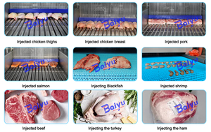 เครื่องฉีดน้ำปรุงรสอาหารทะเลอัตโนมัติสำหรับกุ้ง <span class=keywords><strong>ปลาหมึก</strong></span> น้ำเกลือ น้ำปรุงรส และสารปรุงแต่งอื่นๆ - Product Image 3