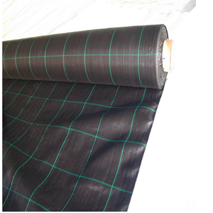 Malla antihierbas negra 2x10 m - Product Image 1