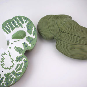 Magnify 4X Modèle anatomique de lobulation cérébelleuse Science médicale Noyau Modèle de structure cérébelleuse humaine - Product Image 4