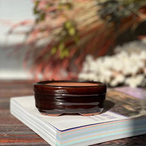 Mini pot de plantes succulentes pour décoration de jardin, vente en gros, avec trou de Drainage - Product Image 6