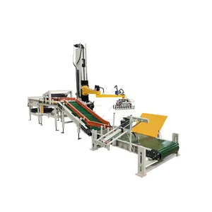 Nieuwe Automatische Single Column Robot Case Palletiseermachine In Productielijn Palletiseermachine Automatisch