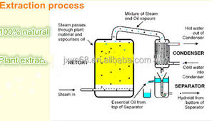 40 ans <span class=keywords><strong>d</strong></span>'approvisionnement en usine Huile essentielle <span class=keywords><strong>d</strong></span>'<span class=keywords><strong>Ylang</strong></span> <span class=keywords><strong>Ylang</strong></span> Massage corporel pur Utilisation de la peau Parfum Cosmétique Fabrication Ingrédients Romarin Rose - Product Image 6