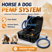 Machine PEMF pour chevaux et chiens, très vendue, soulagement de la douleur et amélioration de la circulation sanguine, usage vétérinaire.