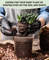 Pot Anggrek Pot Tanaman Transparansi Tinggi Pot Pemula Benih Tahan Lama Dapat Digunakan Kembali untuk Tanaman Sayuran dengan Bonus 20 Label Tanaman