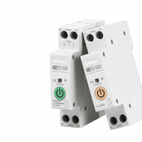 Disjoncteur intelligent WiFi 60A 1P MCB en cuivre PA66, capacité de coupure 6kA, montage sur rail, télécommande sans fil 220V