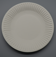 Vente directe du fabricant, assiettes rectangulaires jetables écologiques, assiettes en papier de style classique pour les fêtes