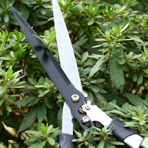 Cisailles à haie de longueur étendue pour la sculpture de jardin formelle - Product Image 5