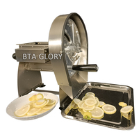 Loongyi Commerciële Weegbree Apple Fruit Groente Aardappel Snijmachine Snijmachine