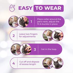 Collier apaisant de luxe pour chien <span class=keywords><strong>Chanson</strong></span>, design solide en caoutchouc, décoration foulard, huiles essentielles naturelles, phéromones pour animaux, réduction de l'anxiété, tout usage - Product Image 4