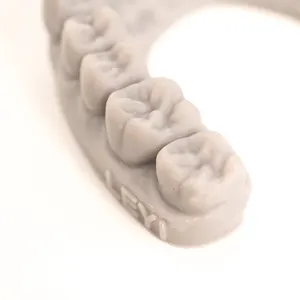 LEYI Peut être utilisé pour la restauration orthodontique et de prothèses dentaires à faible odeur 3d résine modèle de dent lavée