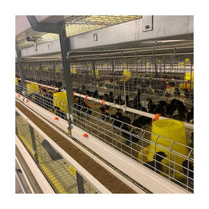 Yeni H tipi çelik galvanizli otomatik Broiler katmanlı kafes tavuk yetiştiriciliği perakende hayvan kafesi ekipmanları - Product Image 3