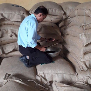 JUMBO BLACK PEPPER 5MM cru séché Grande vente! - Product Image 4