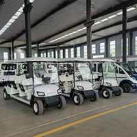 Voiturette de golf électrique tout-terrain homologuée pour la route, 4 places, batterie au lithium sans entretien, batterie au plomb-acide, buggy de golf