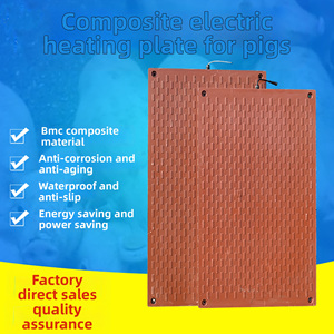 Tablero de calentamiento antiagua eléctrico duradero para lechones, cerdo destete, placa de plástico, alfombrilla para el suelo, equipo de guardería para cerdos - Product Image 2