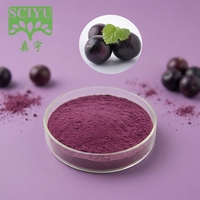 Poudre d'extrait de baies d'açaï, poudre de jus et poudre de fruits hydrosolubles pour boissons