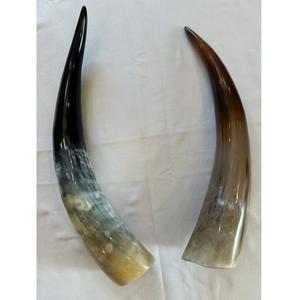 Paire de corne de buffle exquise sculptée écologique longue texture naturelle polie décor traditionnel artisanat d'animaux Souvenir nautique - Product Image 6