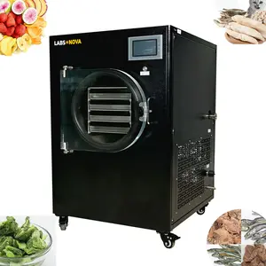 Mini Food Vegetable Fruit Flower Home freeze drying machine Household or Lab Vacuum Mini freeze dryer