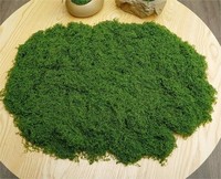 LO-025 Micro aménagement paysager écologique Tapis de pelouse Panneau de mousse artificielle Gazon artificiel Bouteille écologique Plantes décoratives
