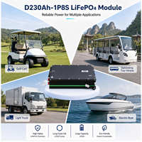 Module CALB D230AH-1P8S 25,6V 230Ah LiFePO4 5,88 kWh, série connectable aux systèmes de traction 51,2V 102,4V 300V