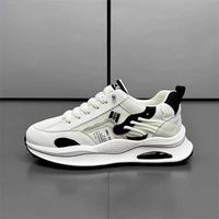Toutes les saisons Semelle plate Style de marche Casual Non-slip Breathable Youth Men's Skateboards Shoes