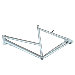 Telaio per <span class=keywords><strong>bici</strong></span> da città 6061 in lega di alluminio grezzo a 3 velocità interno da 28 pollici per freno a V - Product Image 1