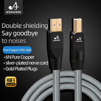 Câble audio USB plaqué argent ATAUDIO OFC, adaptateur USB A/B/C/LTG pour téléphone, ordinateur, décodeur, mixeur, microphone, câble audio haute fidélité