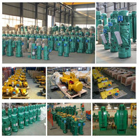 CD1 MD1 Palan électrique à câble métallique de 1 tonne 2 tonnes 3 tonnes 5 tonnes avec contrôleur sans fil Treuil électrique